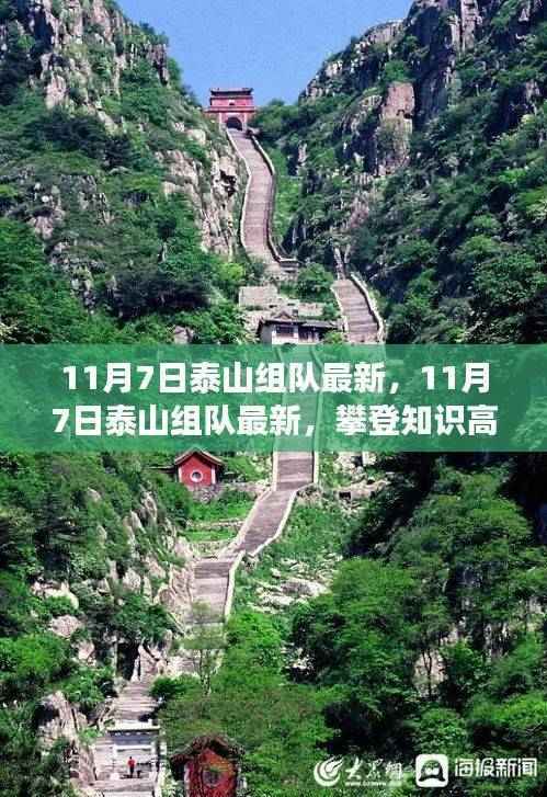 11月7日泰山组队最新,攀登知识高峰,自信成就梦想之旅