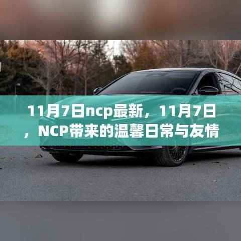 11月7日,NCP下的温馨日常与友情魔法