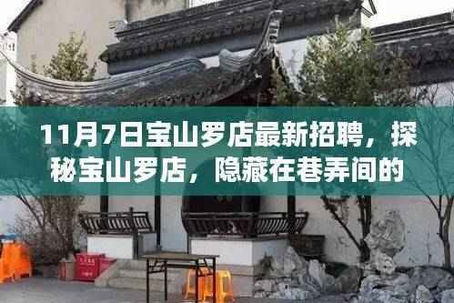 揭秘宝山罗店职场宝藏,最新招聘火热进行中!
