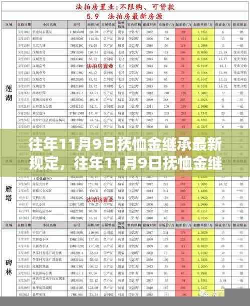 解读往年11月9日抚恤金继承规定，最新政策解析与继承问题探讨