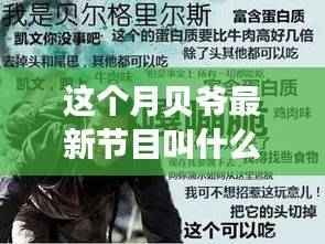 贝爷最新探险节目全面评测与介绍,揭秘本月新节目名称及精彩内容