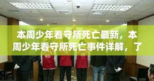 少年看守所死亡事件真相揭秘,最新进展与详解