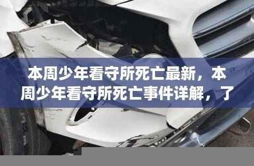 少年看守所死亡事件真相揭秘,最新进展与详解