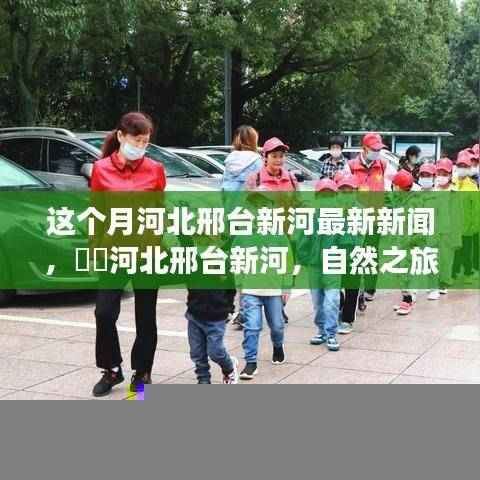 河北邢台新河最新新闻,自然之旅呼唤心灵宁静与欢笑之旅