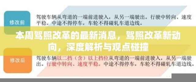 本周驾照改革深度解析与观点碰撞，最新动态与动向探讨