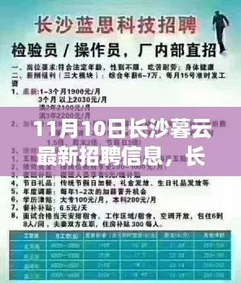 长沙暮云最新招聘信息探秘,11月10日全新招聘动态揭秘