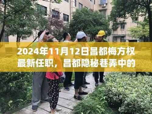 梅方权新职务揭秘,昌都隐秘巷弄美食秘境与独特风味探索