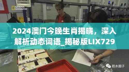 2024澳门今晚生肖揭晓，深入解析动态词语_揭秘版LIX729.86