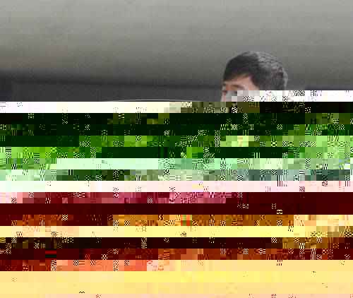 gangqiemuzhang 第25页