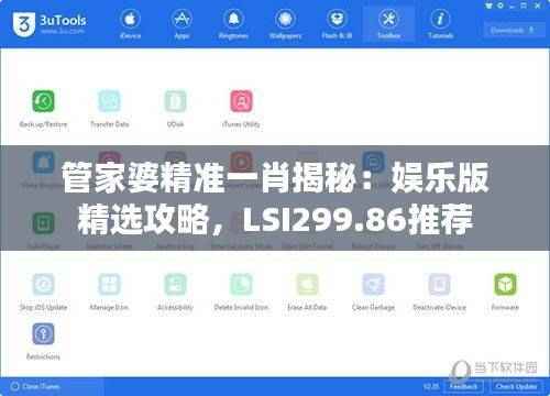管家婆精准一肖揭秘:娱乐版精选攻略,LSI299.86推荐