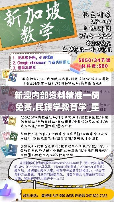 新澳内部资料精准一码免费,民族学教育学_星宇境NRG614.04