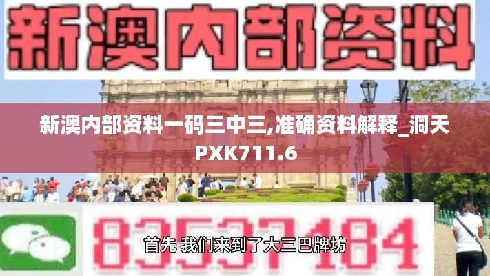 新澳内部资料一码三中三,准确资料解释_洞天PXK711.6