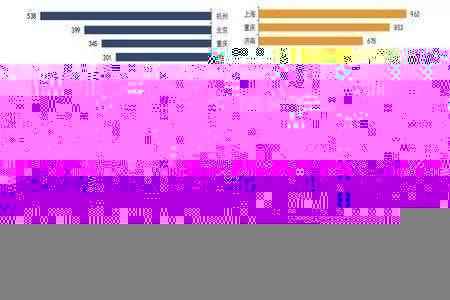 澳门王中王预测精准,实时素材策略解析——大师版BSE321.13