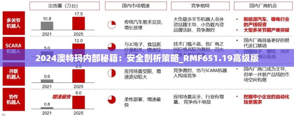 2024澳特玛内部秘籍:安全剖析策略_RMF651.19高级版