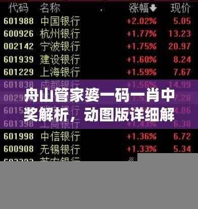 舟山管家婆一码一肖中奖解析，动图版详细解读ZAV861.56