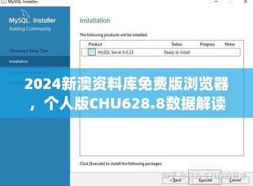 2024新澳资料库免费版浏览器,个人版CHU628.8数据解读