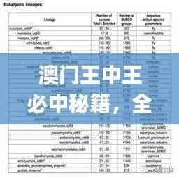 澳门王中王必中秘籍，全面解读评估_精华版MNC973.38