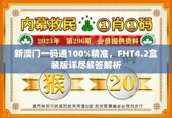 新澳门一码通100%精准，FHT4.2盒装版详尽解答解析