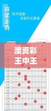 澳资彩王中王免费资料专供,HSJ353.35管理决策版解析