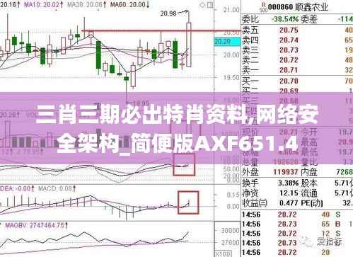三肖三期必出特肖资料,网络安全架构_简便版AXF651.4