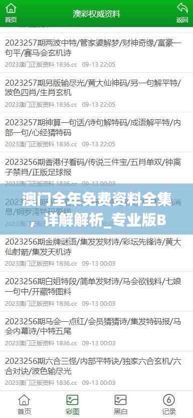 澳门全年免费资料全集,详解解析_专业版BMF164.16