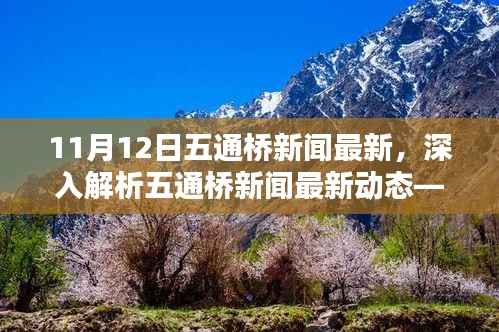 11月12日五通桥新闻深度解析,最新动态报告