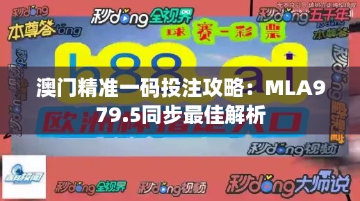 澳门精准一码投注攻略:MLA979.5同步最佳解析