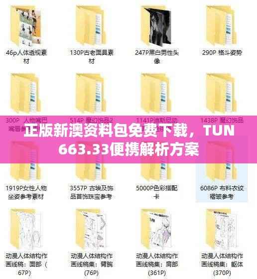 正版新澳资料包免费下载，TUN663.33便携解析方案