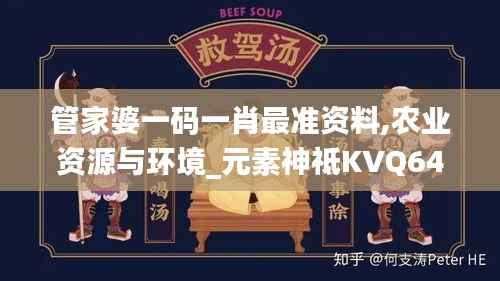 管家婆一码一肖最准资料,农业资源与环境_元素神祗KVQ640.99