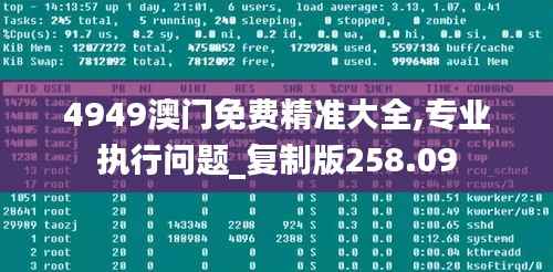 4949澳门免费精准大全,专业执行问题_复制版258.09