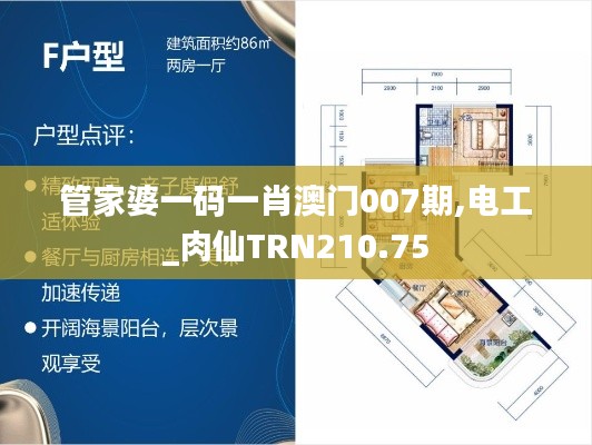 管家婆一码一肖澳门007期,电工_肉仙TRN210.75