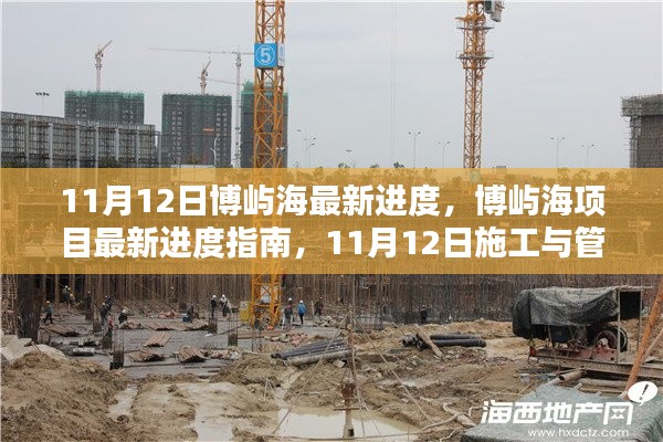 11月12日博屿海项目最新进度报告，施工与管理详解指南