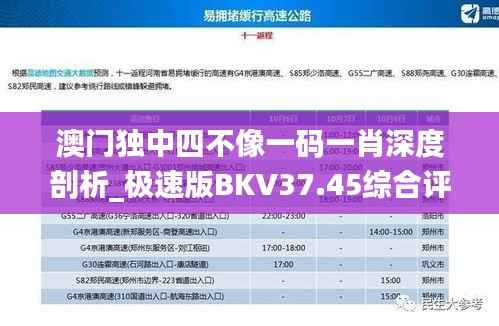 澳门独中四不像一码一肖深度剖析_极速版BKV37.45综合评估