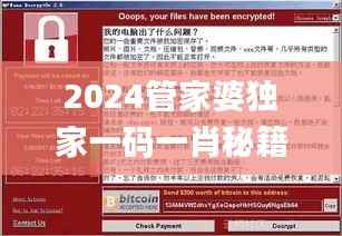 2024管家婆独家一码一肖秘籍,安全解码攻略_珍藏版VWP933.84