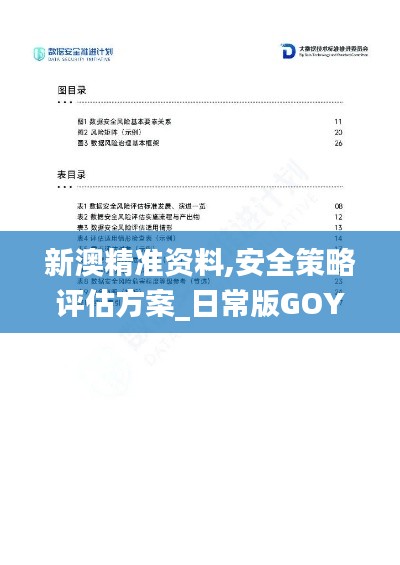 新澳精准资料,安全策略评估方案_日常版GOY585.03