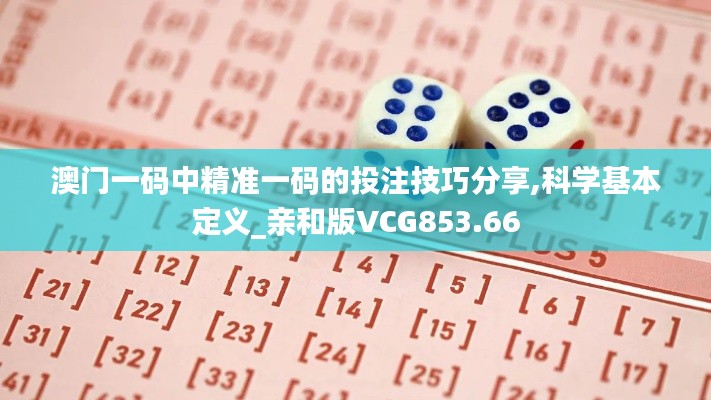 澳门一码中精准一码的投注技巧分享,科学基本定义_亲和版VCG853.66