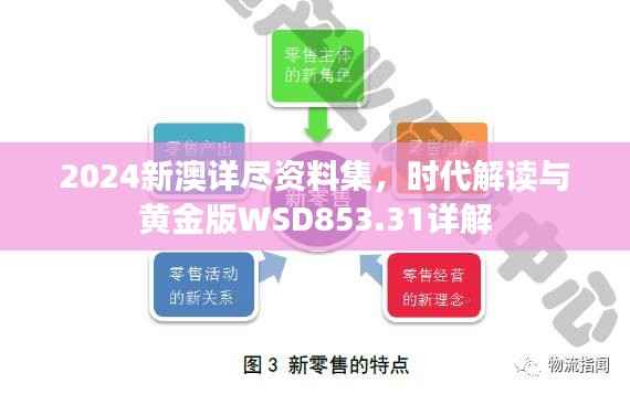 2024新澳详尽资料集,时代解读与黄金版WSD853.31详解