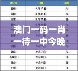 澳门一码一肖一待一中今晚,专业执行问题_收藏版VQR300.36