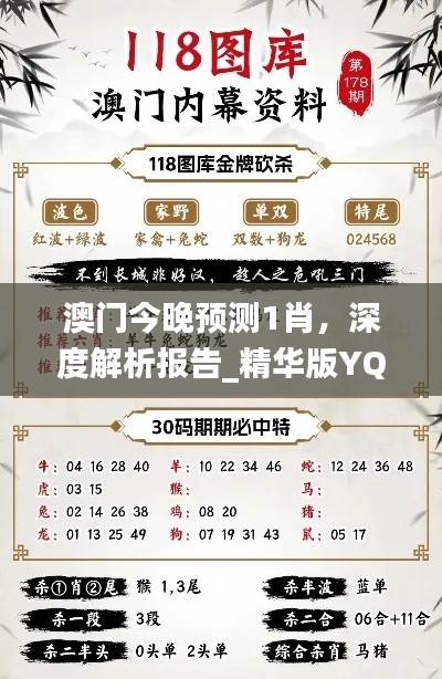 jujianyonggui 第15页