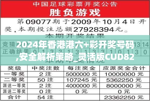 2024年香港港六+彩开奖号码,安全解析策略_灵活版CUD824.6