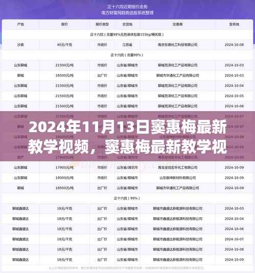 窦惠梅最新教学视频学习指南，掌握技能的每一步指南（2024年11月13日版）