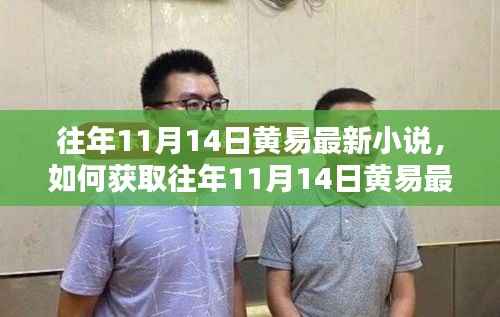 黄易最新小说获取指南,往年11月14日详细步骤解析