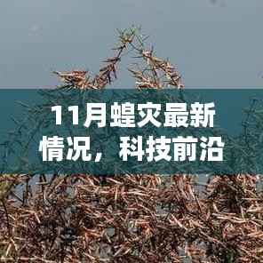 揭秘智能监测系统应对蝗灾，前沿科技应用与体验报告