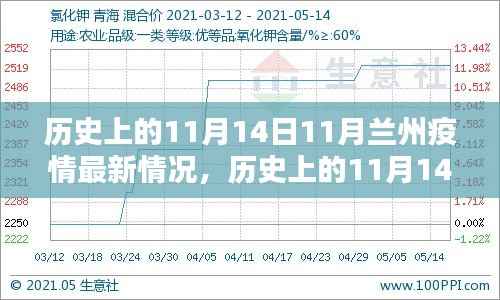 历史上的11月14日与兰州疫情现状深度解析及观点阐述