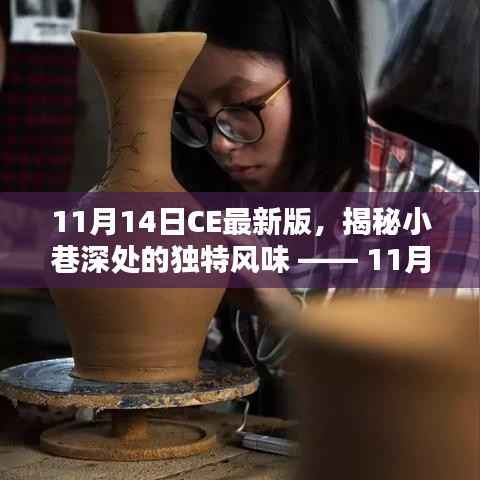 11月14日CE最新版,小巷深处的独特风味探秘