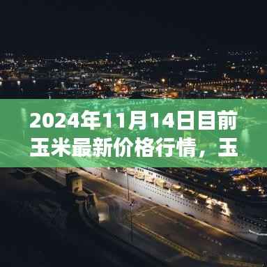 玉米行情背后的励志故事,自信闪耀的学习与成长之路