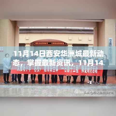 11月14日西安华洲城最新动态详解,掌握最新资讯的步骤指南
