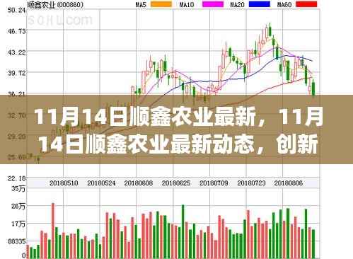 11月14日顺鑫农业最新动态,创新发展的前沿探索
