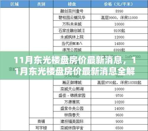 11月东光楼盘房价最新动态解析,掌握购房每一步的全面指南