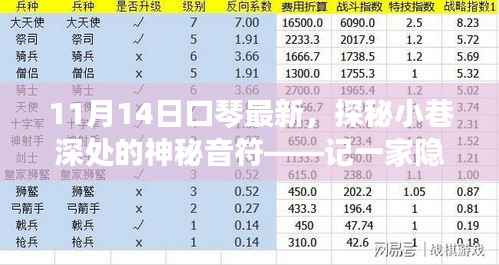 探秘小巷深处的口琴魅力，一家特色小店的神秘音符之旅